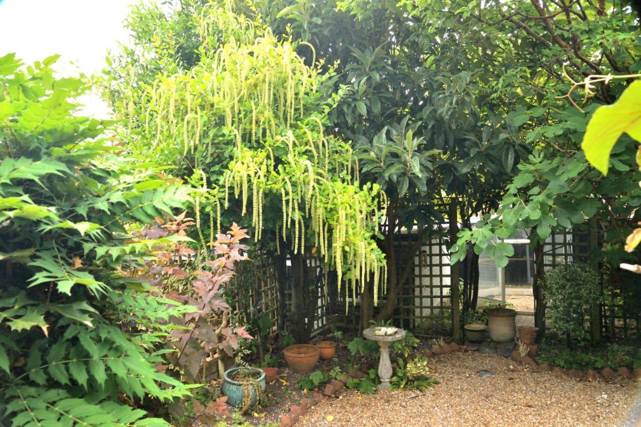 Cosy House, A Train Spotter'S Delight! Villa New Alresford Bagian luar foto